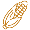 corn icon